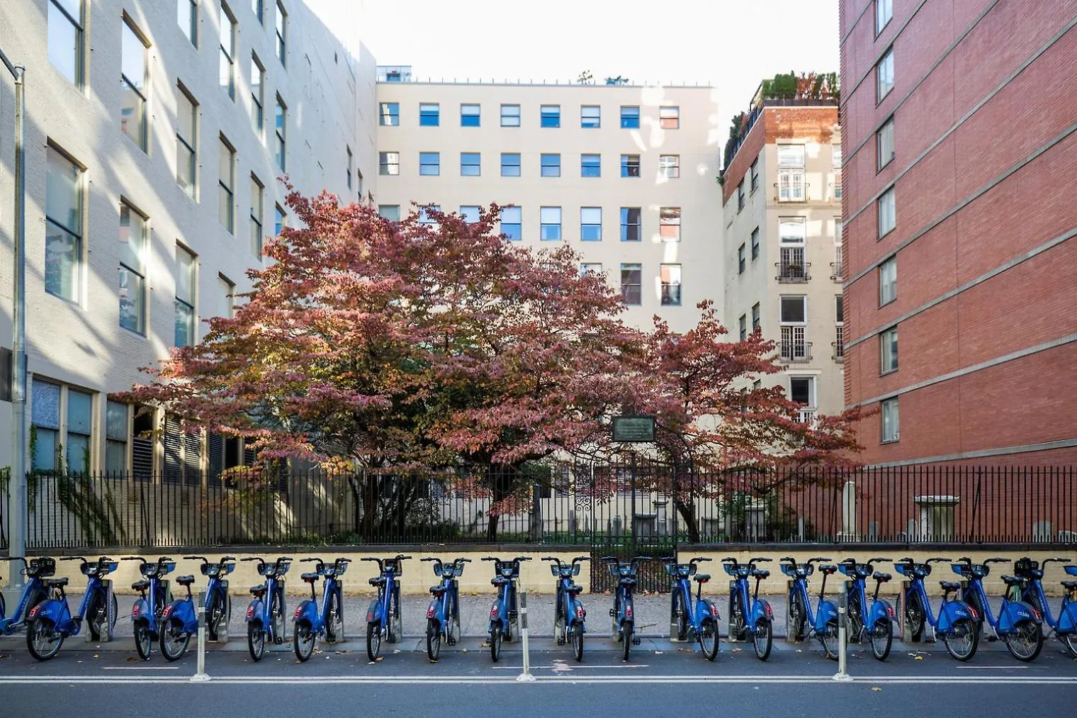 Chelsea 1Br W Doorman Roofdeck Bbq Nyc-427 Apartment New York 0*,  United States